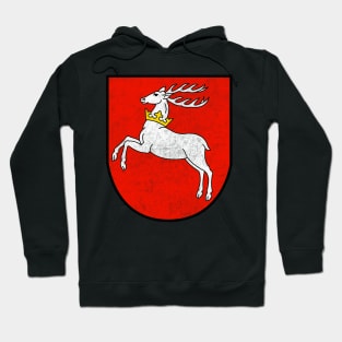 Vintage Style Poland/Lubin Voivodeship Flag Hoodie